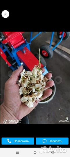 Щипа берёзы