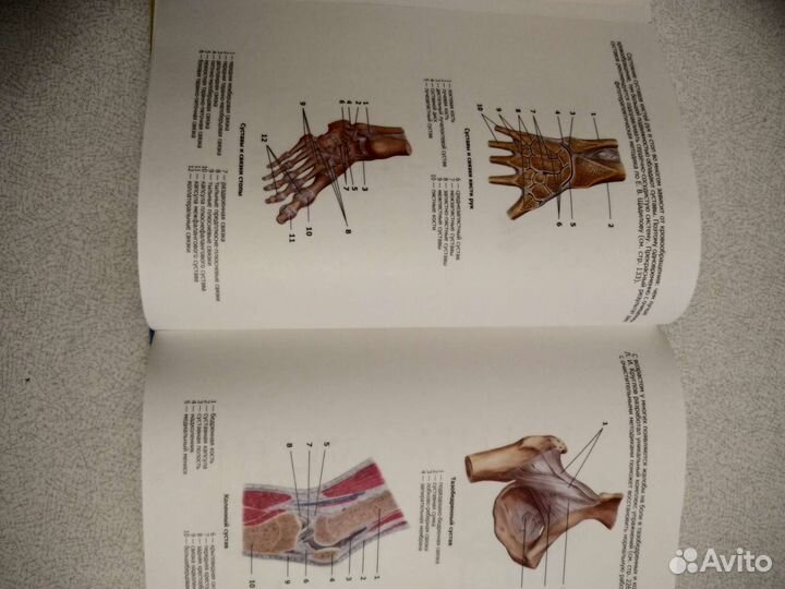 Энциклопедия