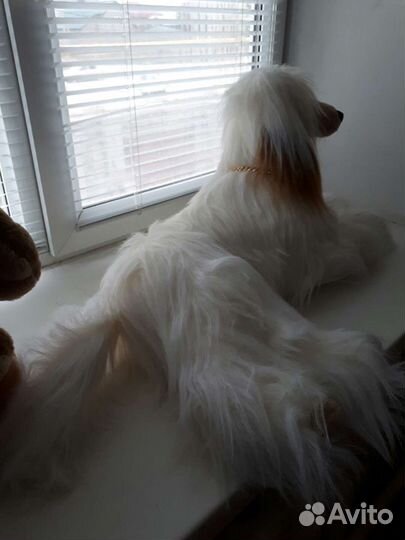 Мягкие игрушки (мишка и собака) цена за обе