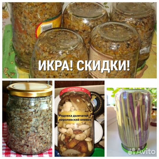 Орляк, веселка, грибы, чага
