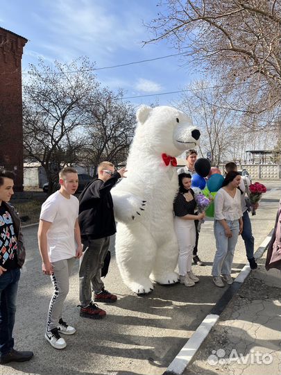 Белый мишка поздравляет