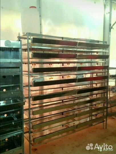 Клетки фермерские для перепелов