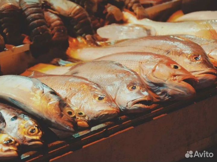 В продаже готовый бизнес – магазин рыбы