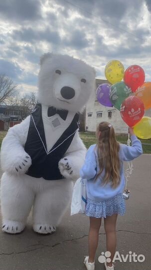 Экспресс поздравление аниматор
