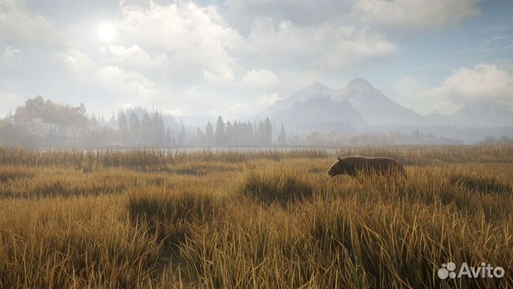 TheHunter: Call of the Wild / Охотник (Steam)