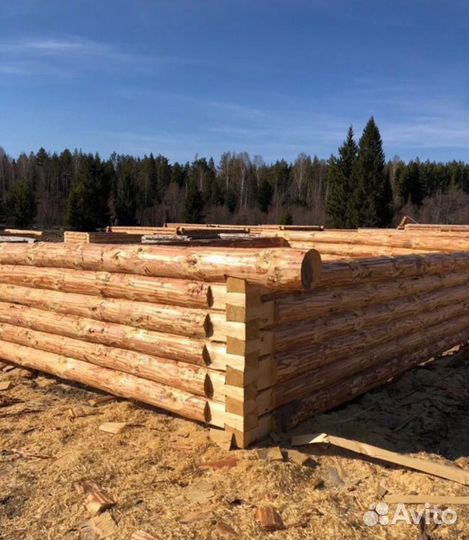 Срубы для бани 3х5