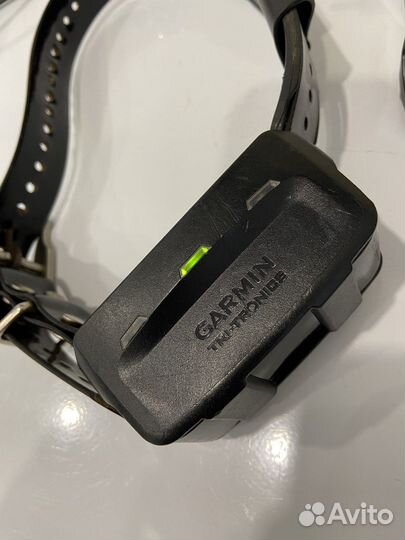 Ошейник Garmin TT15