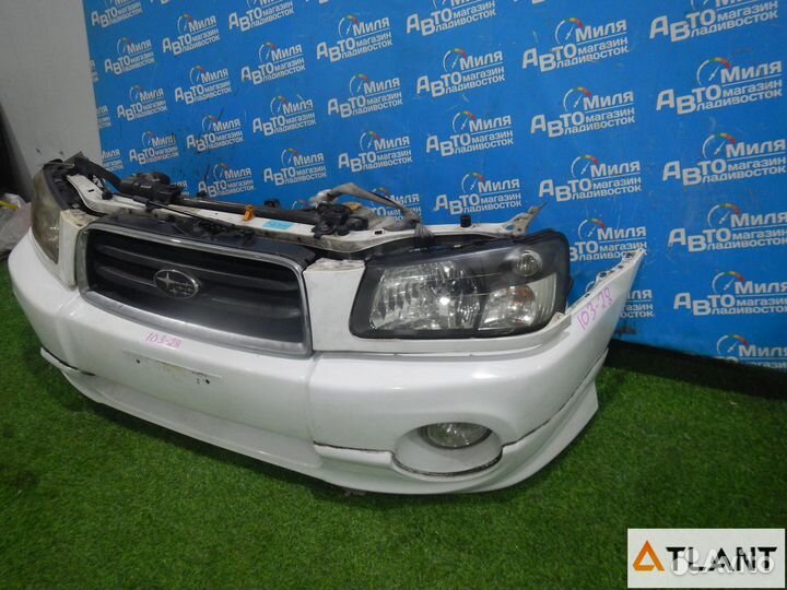 Nose cut subaru forester