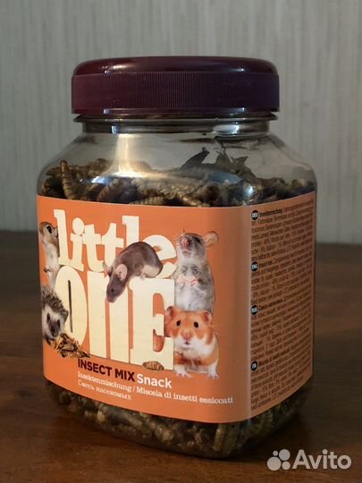 Сирийский хомяк с клеткой