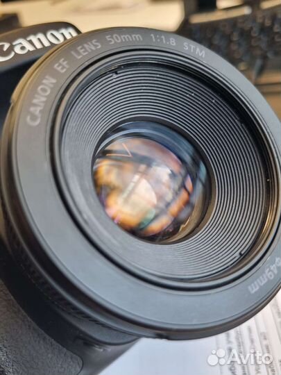 Canon EOS 80D + Canon EF 50 mm f/1.8 STM