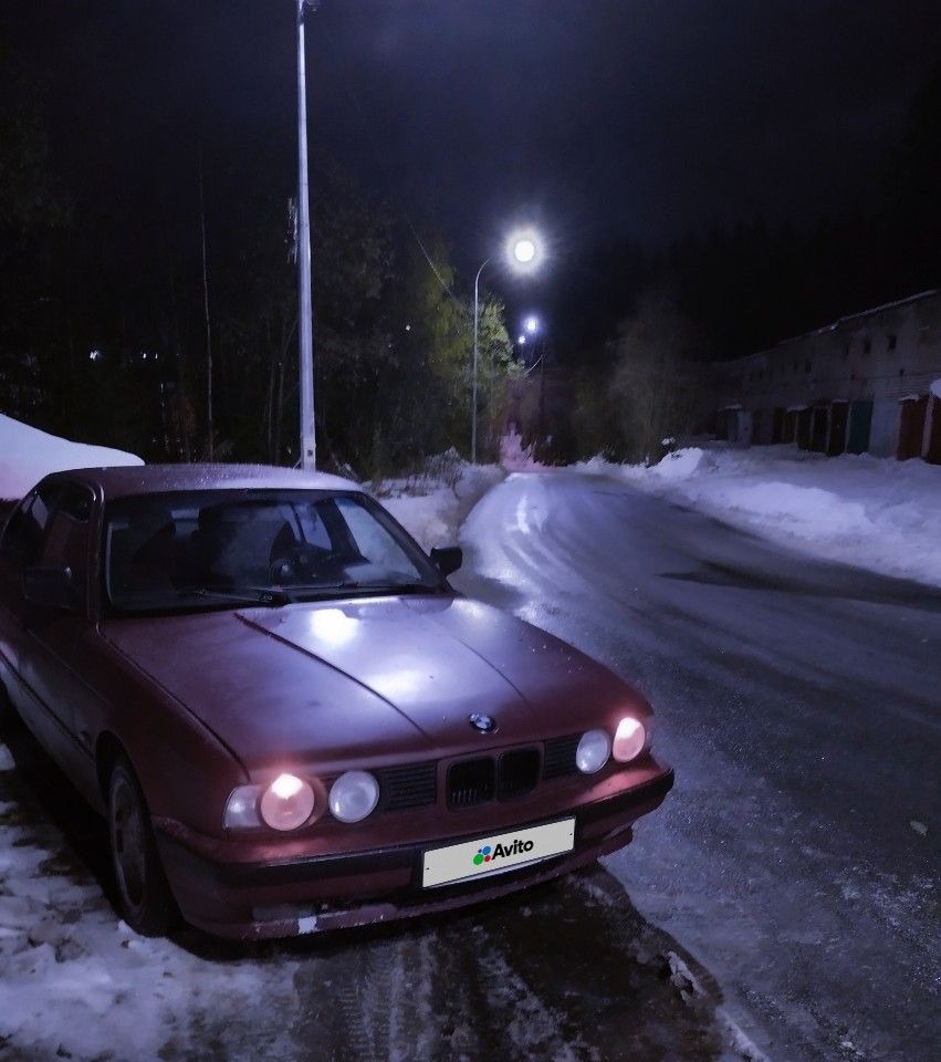 BMW 5 серия: фото владельца