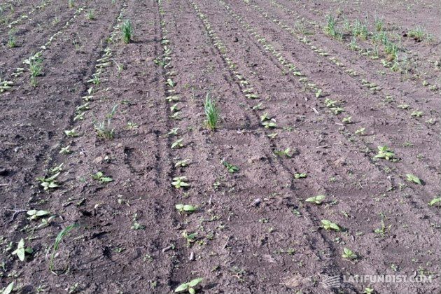 Участок 23,69 га (СНТ, ДНП)