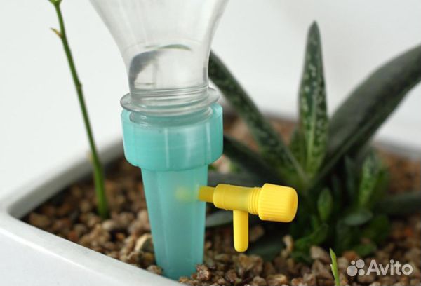 Автополив для растений