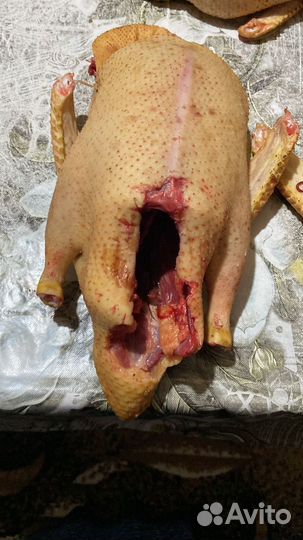 Утка с доставкой