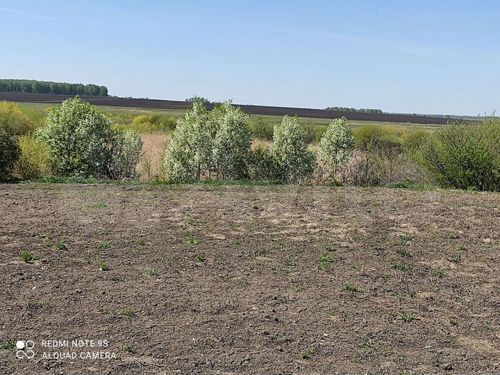 Участок 12 сот. (ИЖС)