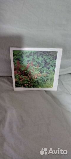 Виниловая пластинка. Песни советских композиторов