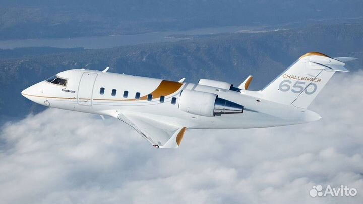 Бейсболка new era Bombardier Challenger 650