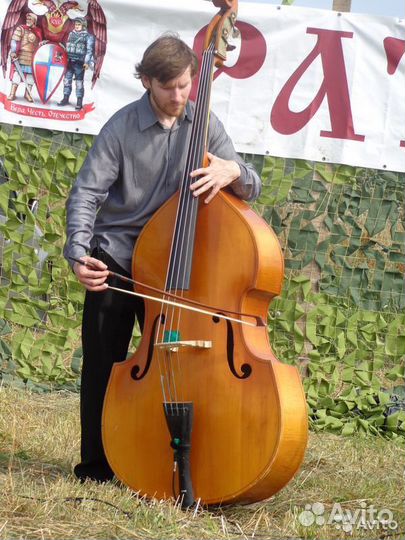 Контрабасистъ на праздникъ, свадьбу, меропріятіе