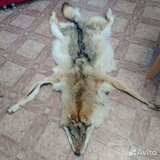 Шкура волка