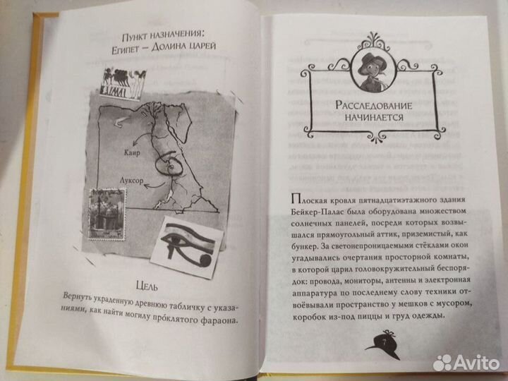 Серия книг Агата Мистери