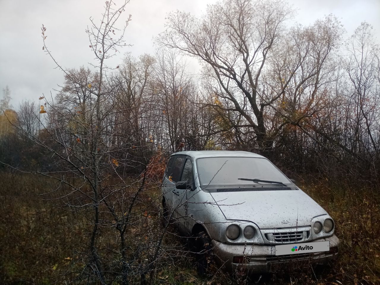 ВАЗ (LADA) 2120 Надежда: фото владельца