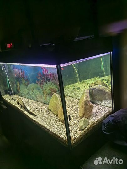 Аквариум с тумбой 450 литров