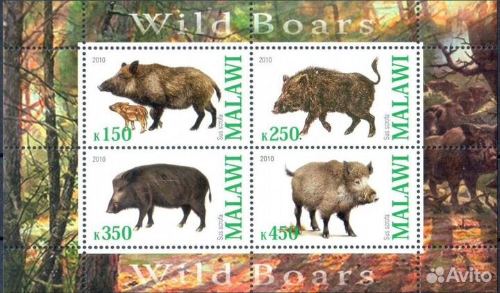 Малави. 2010 г. Фауна. Два блока