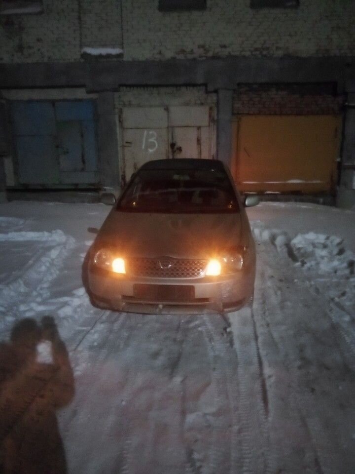 Toyota Corolla: фото владельца
