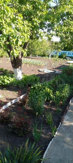 Дача 25 м² на участке 8 сот.