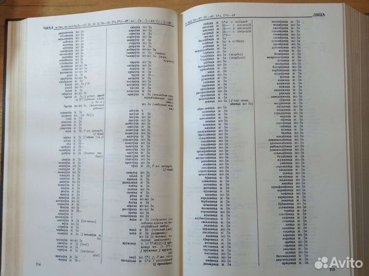 Грамматический словарь русского языка