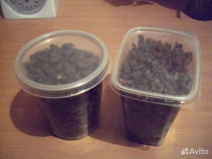 Перговомедовая смесь