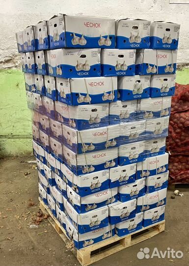 Чеснок на хранение