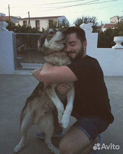 Репетитор/переводчик испанского языка