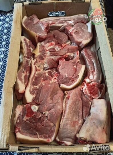 Мясо свинина