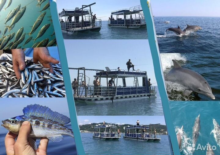 Морская рыбалка