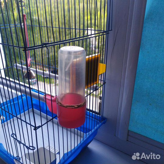 Клетка для попугая