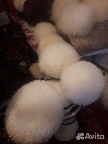 Папахи как у Хабиба