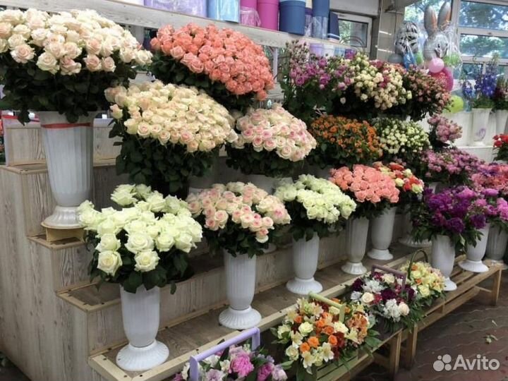 Розы цветы доставка 25 51 роза 101 роза