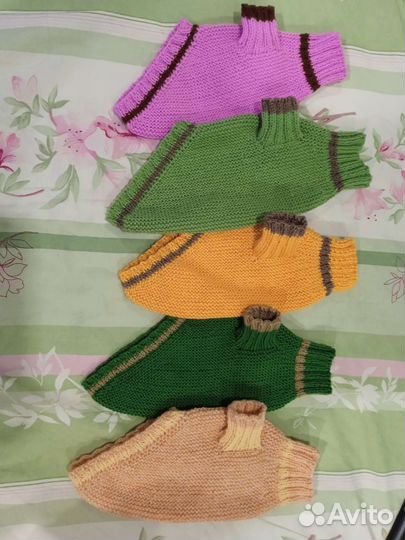 Одежда для ваших питомцев