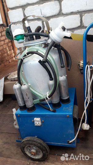 Доильный аппарат для коров