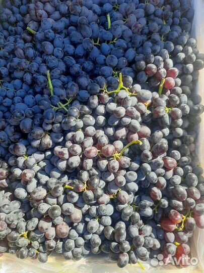 Виноград, Нектарин, Слива, Персик