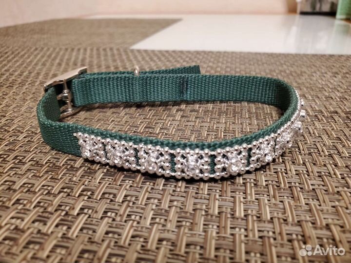 Новый собачий ошейник и поводок