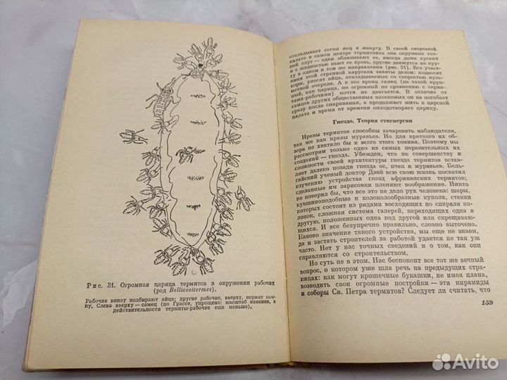 Реми Шовен.От пчелы до гориллы. 1965 год