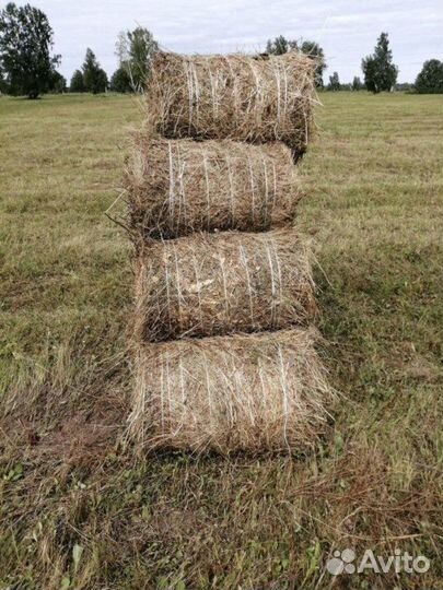 Сено в тюках