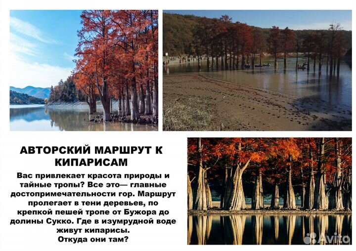 Кипарисы Анапы. Авторский маршрут в долину Сукко