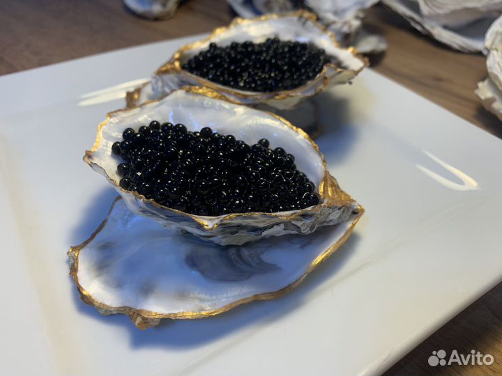 Икорница / раковина устрицы/подарочный набор