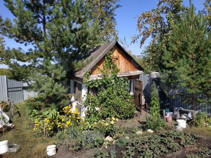 Участок 5 сот. (СНТ, ДНП)