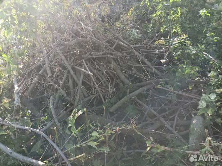 Дрова