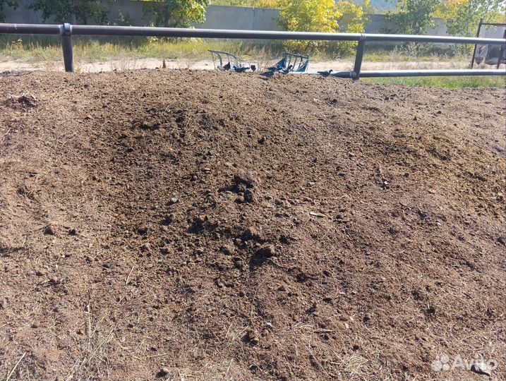 Навоз конский