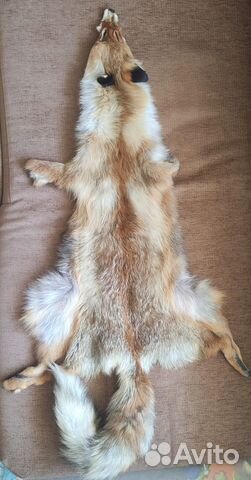 Лисья шкурка